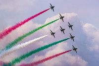 Saudi Hawks