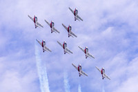 Snowbirds
