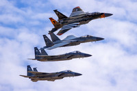 Wings & Eagles