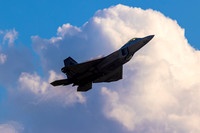 F-22 Raptor